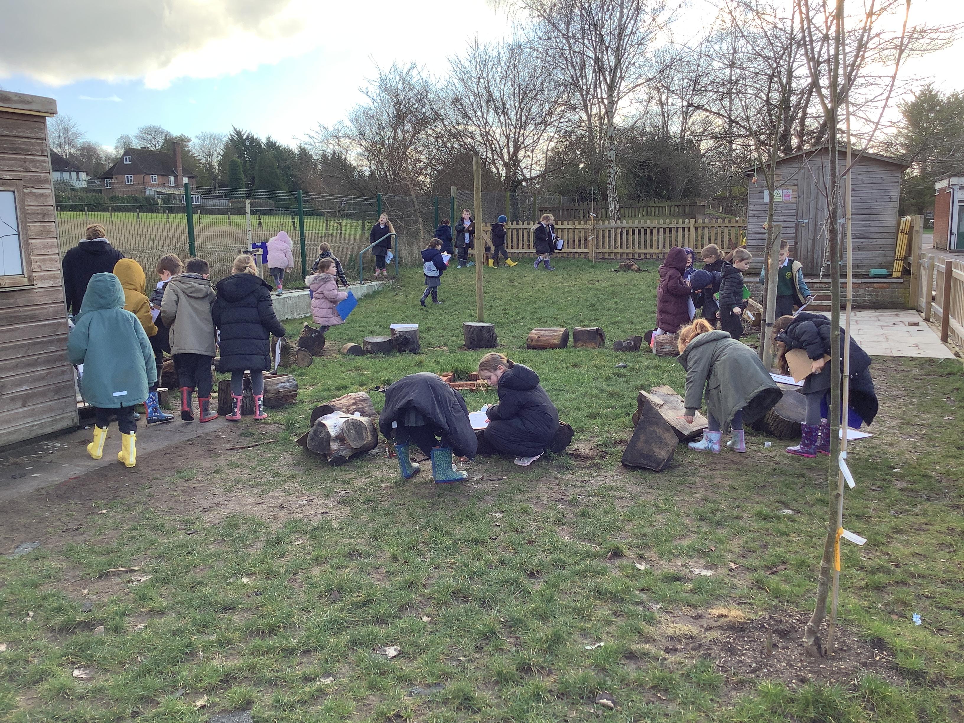 Science - looking at microhabitats